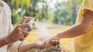 New invasion of mosquitoes in Buenos Aires: why it is caused and how to avoid bites New invasion of mosquitoes in Buenos Aires: why it is caused and how to avoid bites