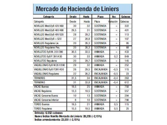 Mercado de Liniers: Novillo bajó 2,15%