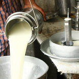 La caída del endeudamiento coincide con mejores precios internacionales de la leche y mayor productividad. La caída del endeudamiento coincide con mejores precios internacionales de la leche y mayor productividad.