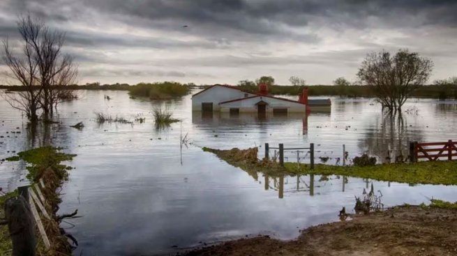 Bajo el argumento de la reducción del Estado y la búsqueda del superávit fiscal, se recortan&nbsp; partidas esenciales para la protección ambiental y el bienestar de la población.