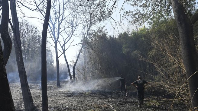Incendios en la reserva ecológica del Parque Peryra.&nbsp;