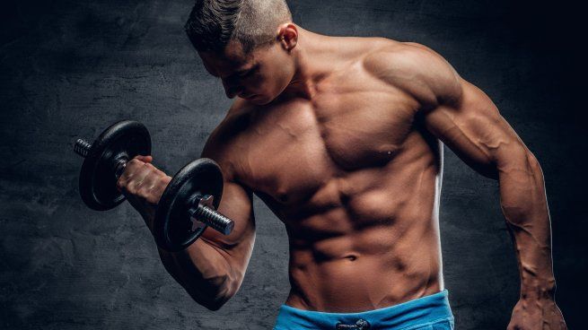 A la espera de nuevos estudios clínicos en humanos, estos hallazgos refuerzan la importancia de la alimentación como un factor clave en la calidad de vida durante la tercera edad.