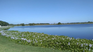 The San Vicente lagoon, a must-see place in the city. The San Vicente lagoon, a must-see place in the city.