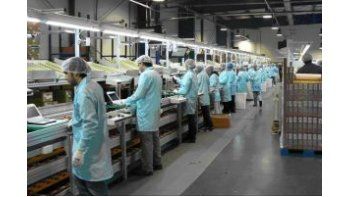 Economía avanzó 2,6% en marzo