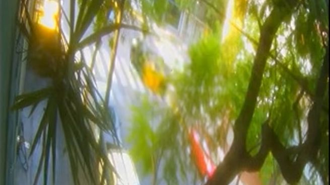 El momento en el que el taxi volcó tras el impacto con el otro auto.