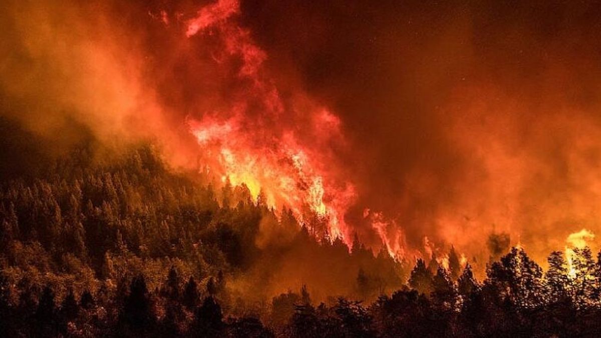Concern about the fires in the Nahuel Huapí Park: they warn that it could take three months to put out the fire