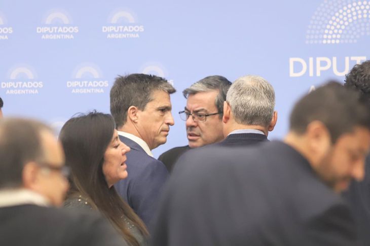 Germán Martínez, jefe de la bancada de UP en Diputados.