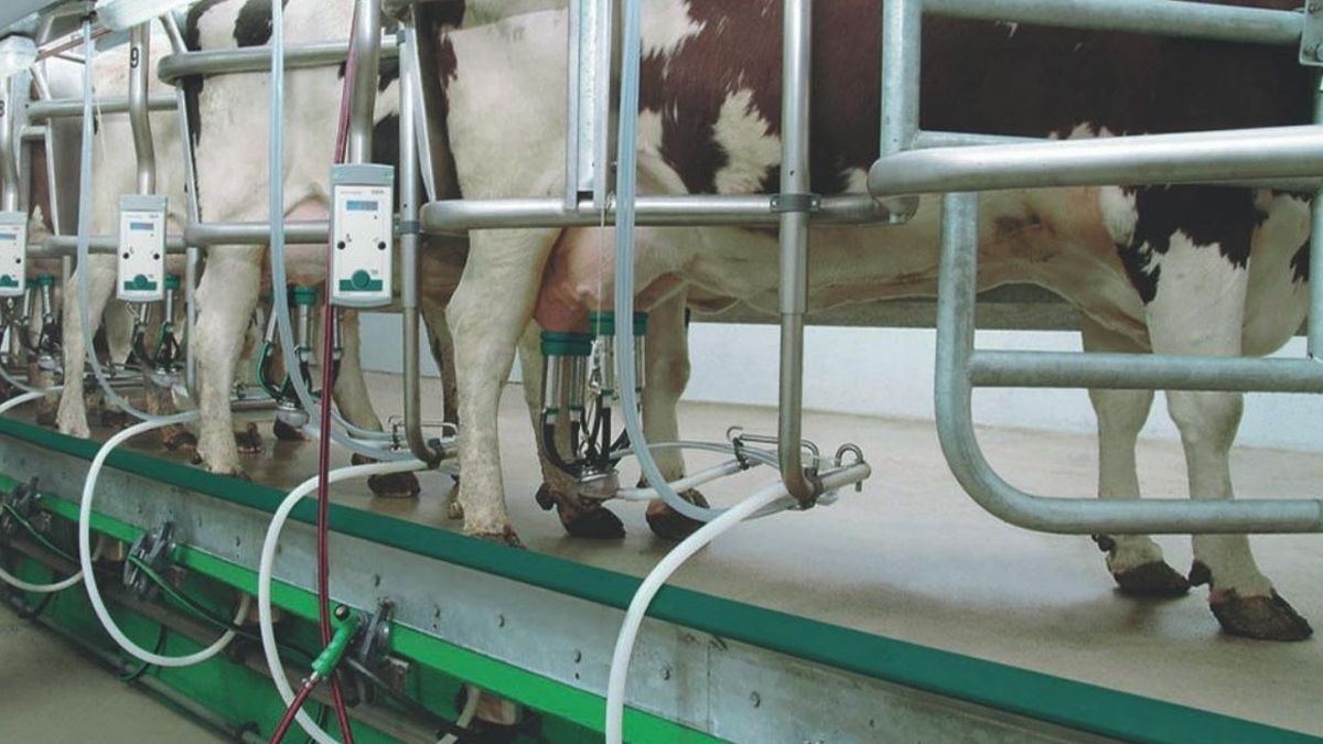 Due to the drop in consumption, milk production fell 14.5% in the first quarter of the year