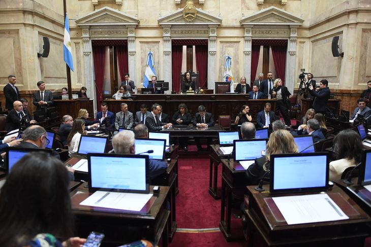 Villarruel presidió la sesión en homenaje al papa Francisco. Villarruel presidió la sesión en homenaje al papa Francisco.
