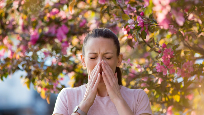 El polen que cae de los árboles genera la intensficación de las alergias.