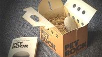 La piedra mascota, un objeto simple que se volvió furor en los años 70 y generó millones de dólares gracias a una idea tan absurda como efectiva.