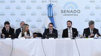 ley bases: se aleja dictamen en el senado y vuelven a aflorar tensiones internas en lla