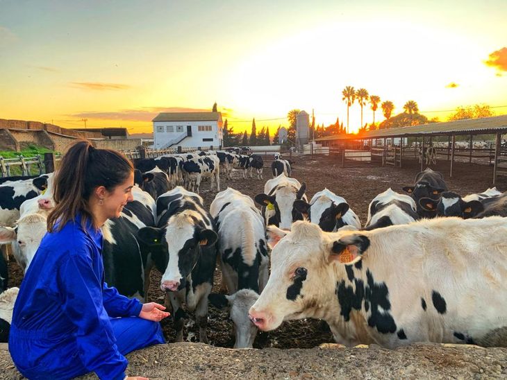La importancia de la medicina veterinaria para el cuidado de los animales.