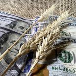 El agro celebró la medida, que mejora el precio para el productor en medio de la suba del precio de los combustibles. El agro celebró la medida, que mejora el precio para el productor en medio de la suba del precio de los combustibles.