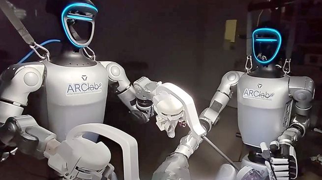 Los robots consiguió extirpar con éxito vesículas biliares en cerdos.
