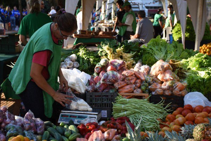 la-diferencia-precios-lo-que-pago-el-consumidor-y-lo-que-recibio-el-productor-el-campo-sus-alimentos