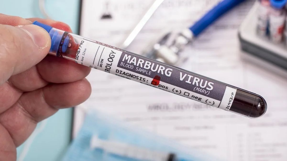 WHO is on alert for an outbreak in Equatorial Guinea