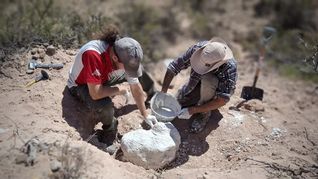 Científicos del CONICET trabajaron en el Área Natural Protegida Paso Córdoba, en Río Negro Científicos del CONICET trabajaron en el Área Natural Protegida Paso Córdoba, en Río Negro