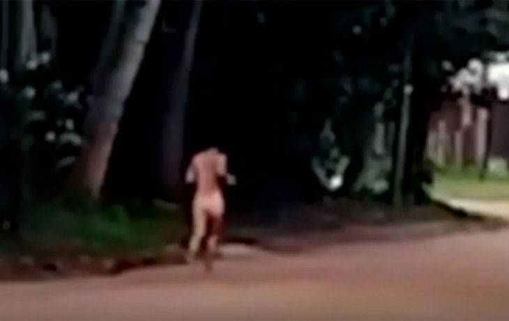 Alucinación por hongos: salió a correr sin ropa y se tiró a nadar al río Paraná