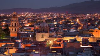 es la familia mas rica de san luis potosi, tienen una poderosa influencia politica y su fortuna crece gracias a sus negocios