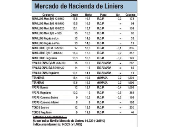 Mercado de Liniers: novillo cayó 3,65%