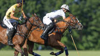 El negocio del polo lleva un crecimiento sostenido en las últimas décadas. El negocio del polo lleva un crecimiento sostenido en las últimas décadas.