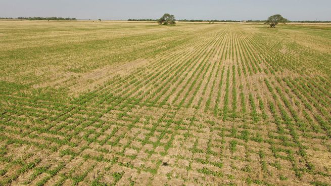 El mercado inmobiliario rural puede recibir una inyección de inversiones el próximo año.