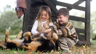 Sin tener que moverte mucho, existen propuestas en el campo para toda la familia. Sin tener que moverte mucho, existen propuestas en el campo para toda la familia.