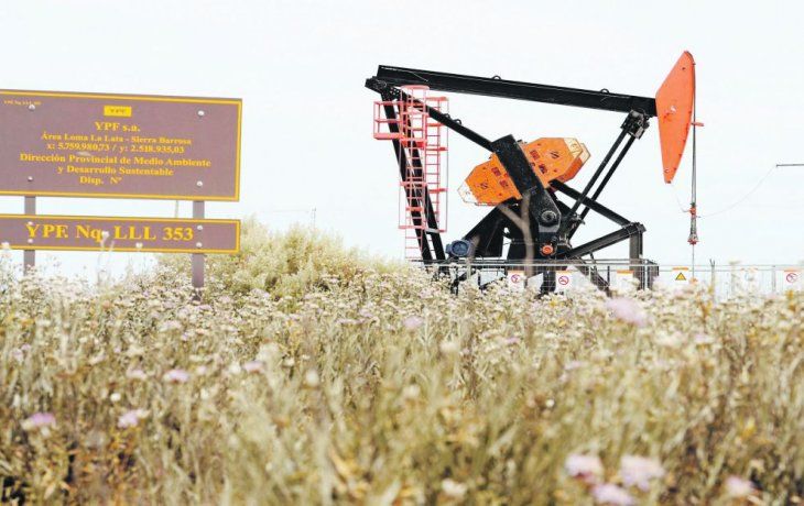 oasis. El yacimiento no convencional atrae a empresas de todo el país por su rápido crecimiento.