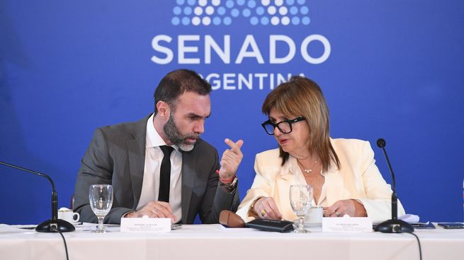 Ezequiel Atauche y Patricia Bullrich, autoridades del plenario del Senado.
