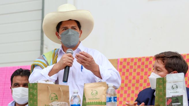 Pedro Castillo, a un mes de asumir la presidencia de Perú, renovaría parte de su equipo.