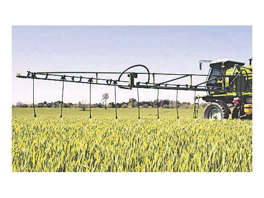 Mejor calidad. La clave para obtener mayores rindes y caliad está en la fertilización. Los analistas estiman que se implementará más tecnología en la presente campaña.