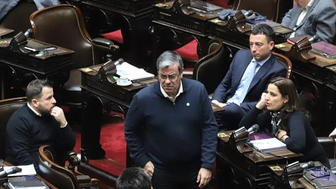 Germán Martínez, titular del bloque de Unión por la Patria, y diputados radicales. Una alianza que volverá a repetirse.