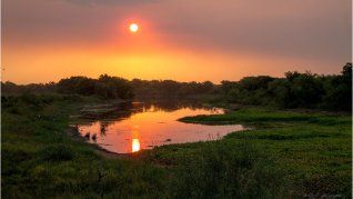 El Jaaukanigás es el humedal con mayor biodiversidad de Argentina.