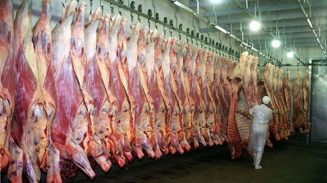 Argentina exporta carne de calidad a Estados Unidos, pese a que ese país es uno de los principales exportadores del mundo.