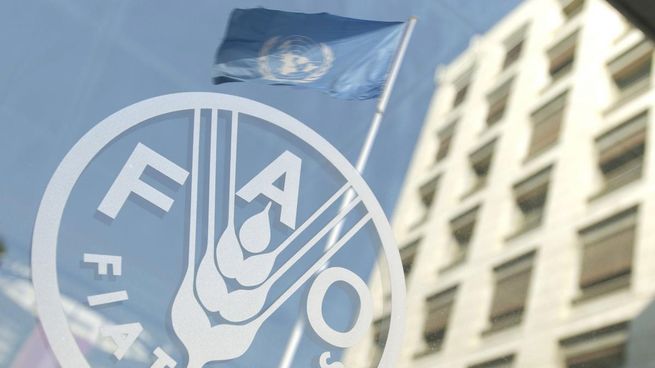 América del Sur podría ser la única región en vías de desarrollo en llegar a hambre cero para 2030.