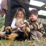 Sin tener que moverte mucho, existen propuestas en el campo para toda la familia. Sin tener que moverte mucho, existen propuestas en el campo para toda la familia.