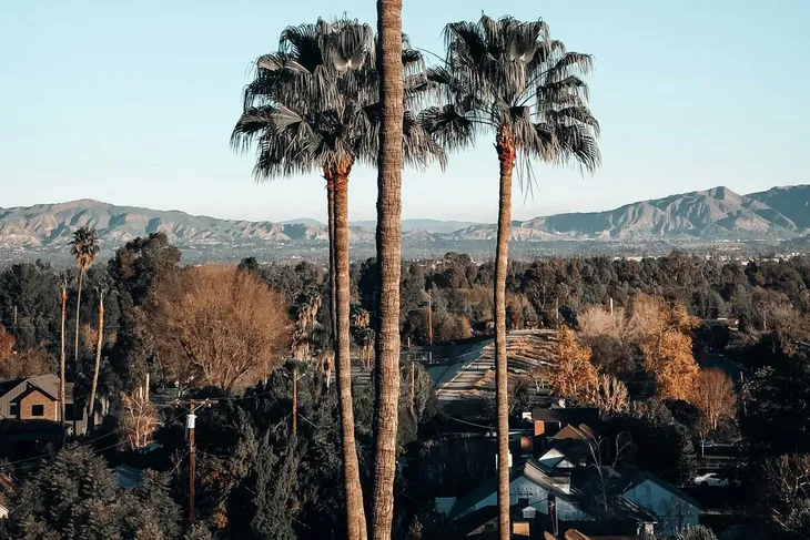 Paisaje típico de Palo Alto, el enclave residencial del norte de California donde se ubica Crescent Park, hoy en debate por los cambios que trajo la llegada del CEO de Meta Paisaje típico de Palo Alto, el enclave residencial del norte de California donde se ubica Crescent Park, hoy en debate por los cambios que trajo la llegada del CEO de Meta