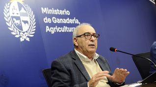 Alfredo Fratti admitió que el problema no se soluciona estructuralmente con la medida. 