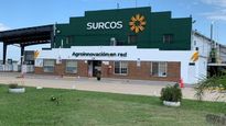 La empresa estaba posicionada como una de las líderes en el negocio de agroquímicos local.&nbsp;