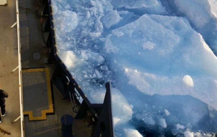 encuentran bacterias que descomponen el petroleo y el diesel
