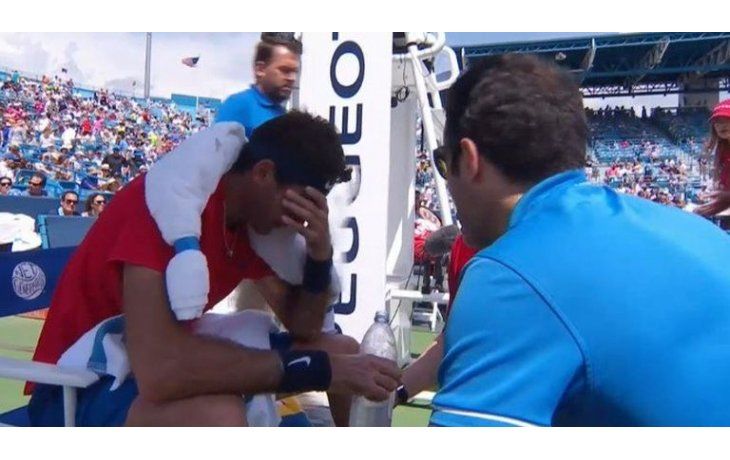 Del Potro cayó ante Dimitrov.