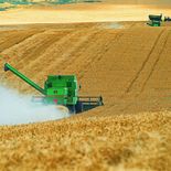 Las ventas externas de la agroindustria sumaron u$s38.054 millones Las ventas externas de la agroindustria sumaron u$s38.054 millones