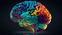 El cerebro humano se reconfigura a partir de los 40 años y qué hacer para mantenerlo saludable