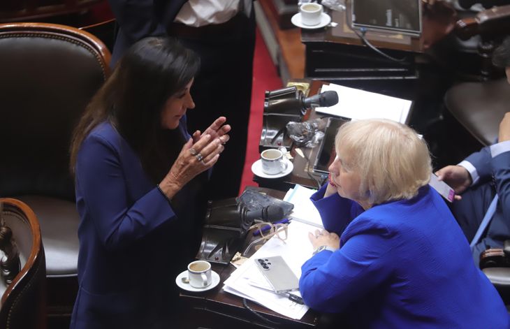 La bullrichista Rodríguez Machado defendió el dictamen de mayoría. 