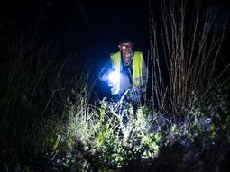 cazador de pitones de birmania: una profesion de riesgo en florida cazador de pitones de birmania: una profesion de riesgo en florida