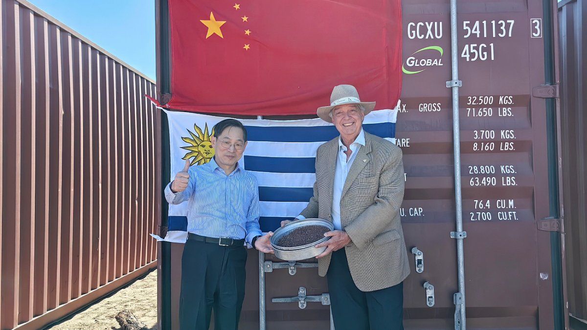 The Chinese ambassador did not rule out the possibility of an FTA with Mercosur
