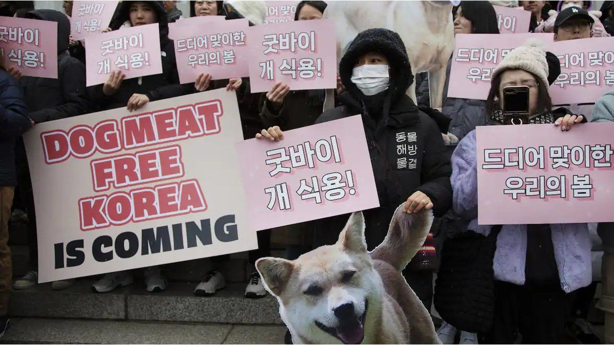 South Korea bans the sale of dogs for meat consumption