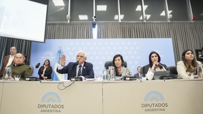 Un plenario presidido por autoridades oficialistas buscó hacer avanzar el proyecto de Defensa de Soberanía Nacional.