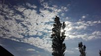 clima: pronostico del tiempo del martes 9 de noviembre de 2021
